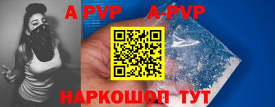 стаф Кинель