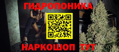 Альфа ПВП Камышлов