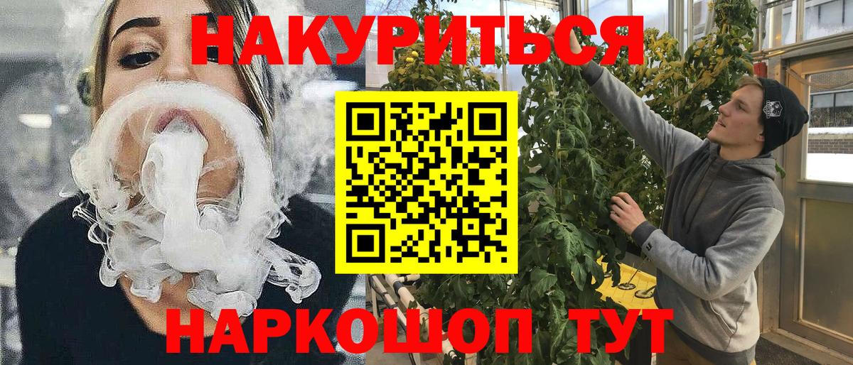 Бошки Шишки планчик  Бошки Шишки AK-47  МАРИХУАНА сатива  Вход с VPN  Кузнецк 